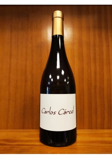 Carlos Carcel Blanco