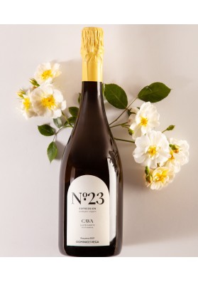 CAVA Nº 23